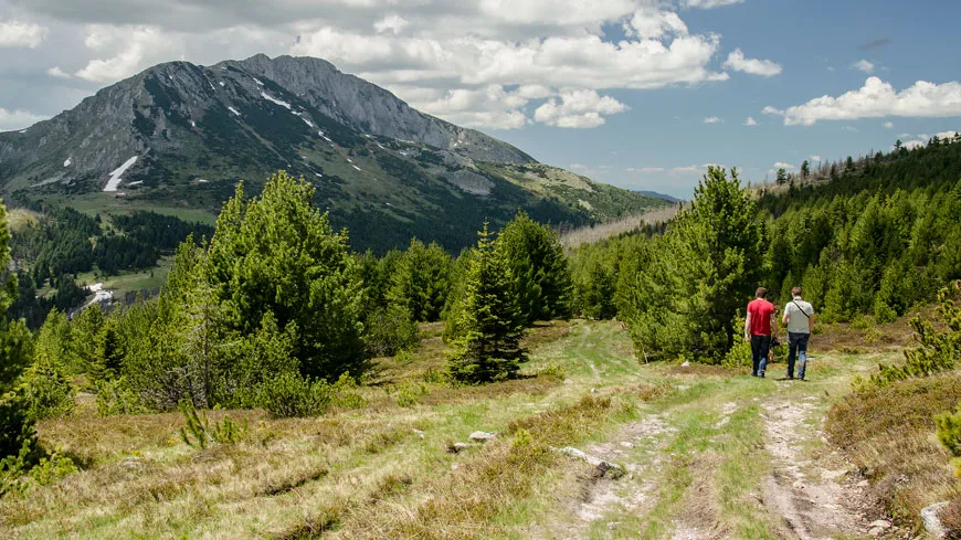 Rožaje