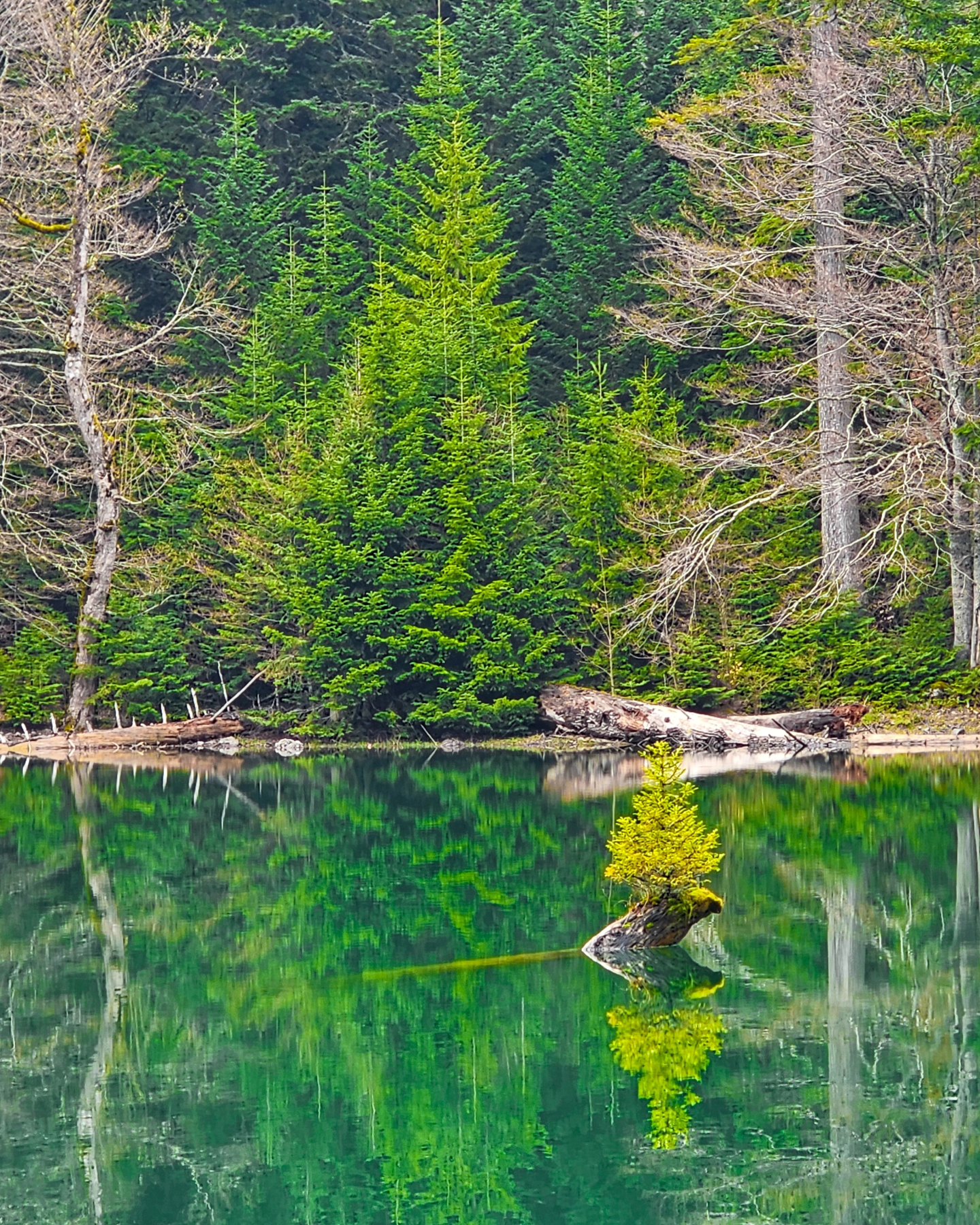 Zabojsko jezero, Foto: PSK Brskovo
